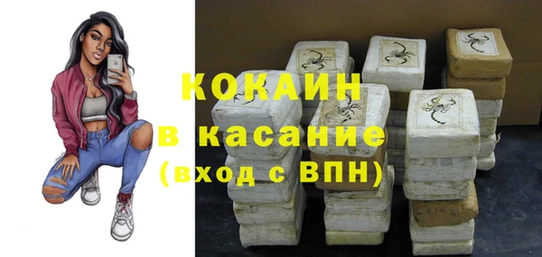 ГАЛЛЮЦИНОГЕННЫЕ ГРИБЫ Арсеньев