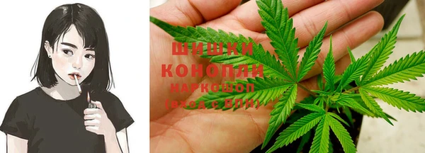 спиды Аркадак