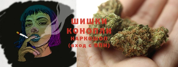 ГАЛЛЮЦИНОГЕННЫЕ ГРИБЫ Арсеньев
