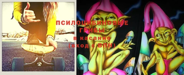 ГАЛЛЮЦИНОГЕННЫЕ ГРИБЫ Арсеньев
